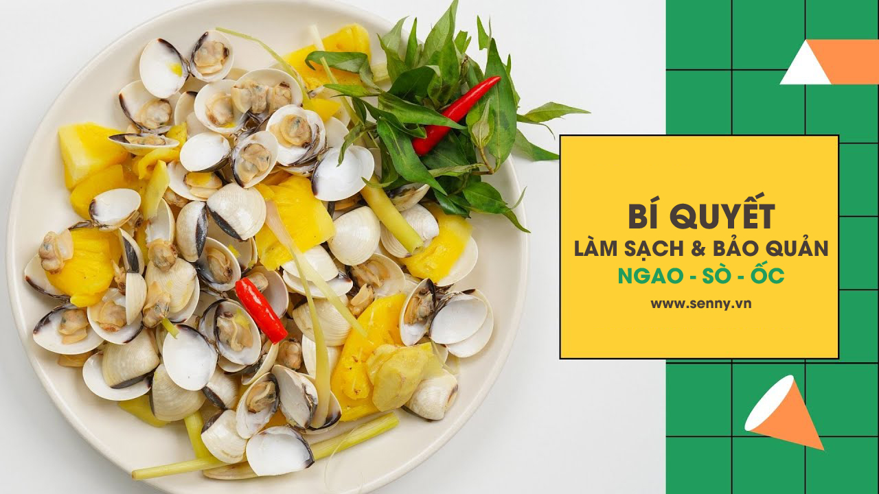 Dùng cách này đảm bảo nghêu sò nhả sạch cát trong 2 tiếng