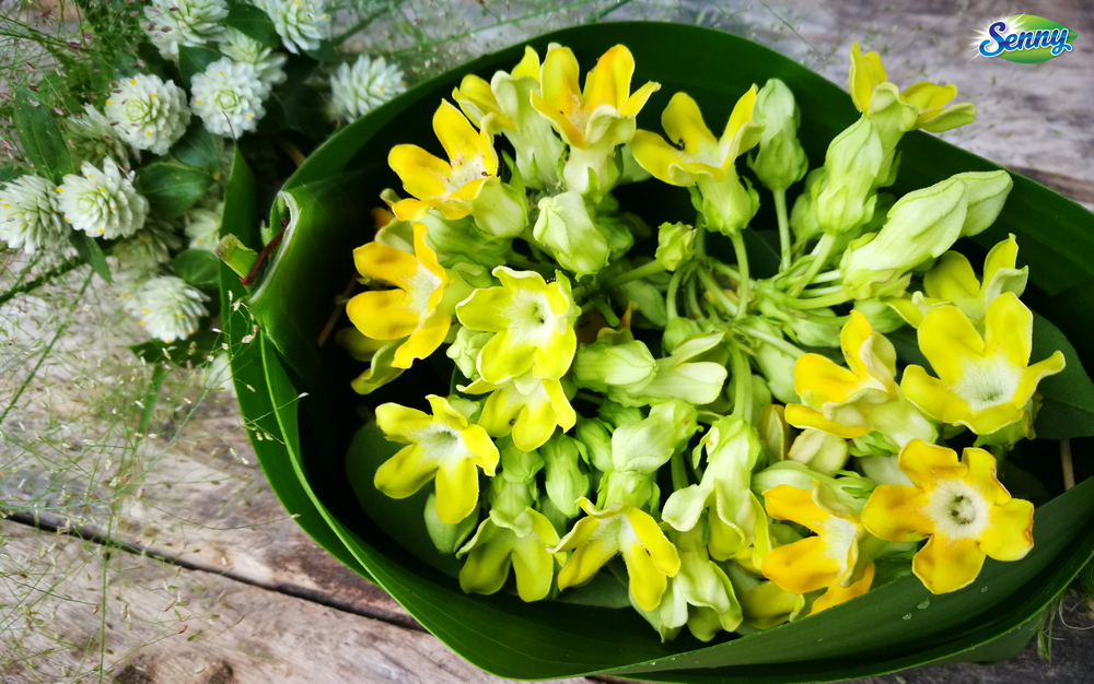 Món ngon với Hoa thiên lý, ăn sao tốt cho sức khỏe?