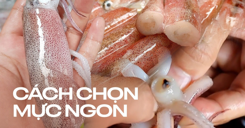 Dân sành ăn mực chia sẻ cách chọn mực tươi ngon, chính xác 100%