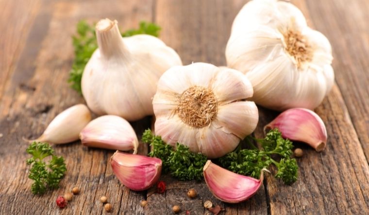 Khi mua tỏi, nên chọn mua loại vỏ trắng hay vỏ tím tốt hơn?