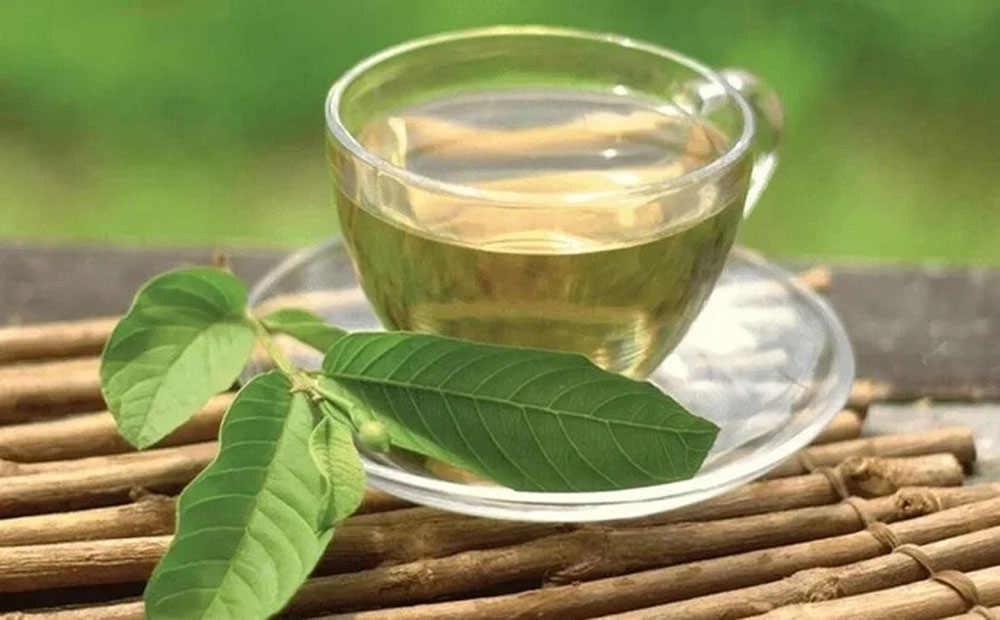 Lợi ích của việc uống nước lá ổi thường xuyên, bạn có biết?