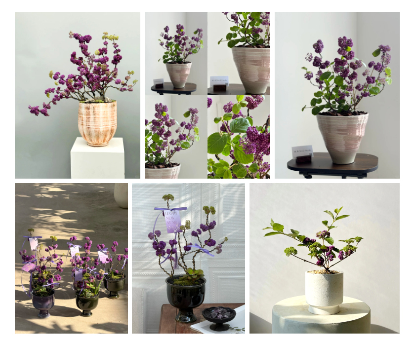 Chuỗi Ngọc Tím – “Viên Ngọc” Mang Vượng Khí Cho Năm Mới Bình An & Thịnh Vượng