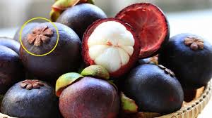 Muốn mua măng cụt ngon, hãy nhớ một số mẹo sau nhé.