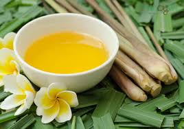 Chế tinh dầu sả đuổi muỗi hiệu quả 100%.